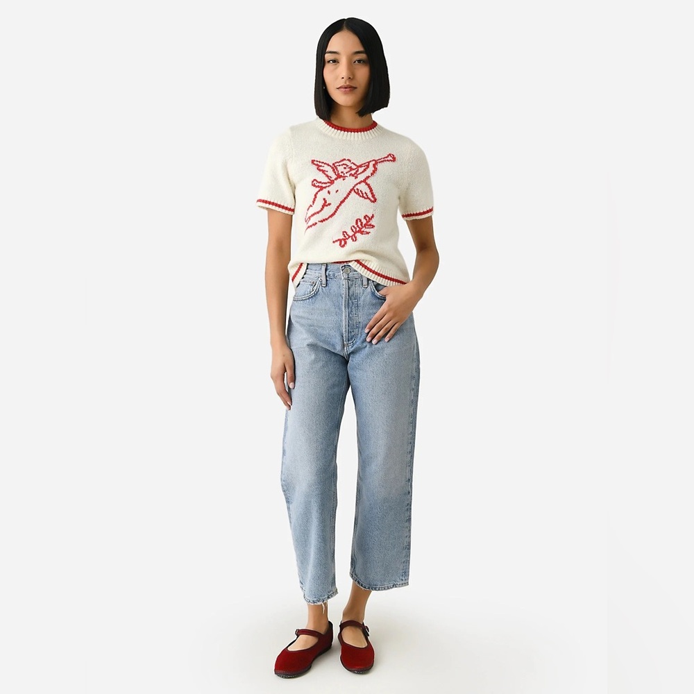 AGOLDE 90s Crop in Replica.